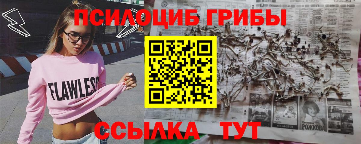 Псилоцибиновые грибы Cubensis  Вход с VPN  Гусев  Галлюциногенные грибы ЛСД 